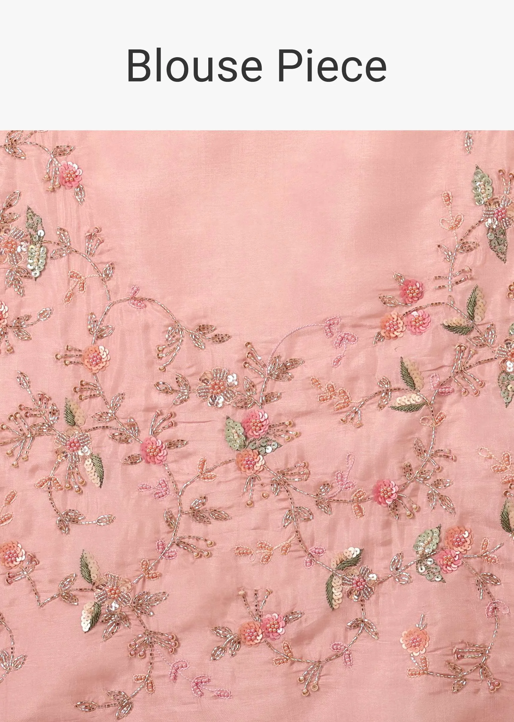 Blush Pink Saree In Glass Tissue With 3D Floral Embroidery In Moti, Sequin & Cut Dana